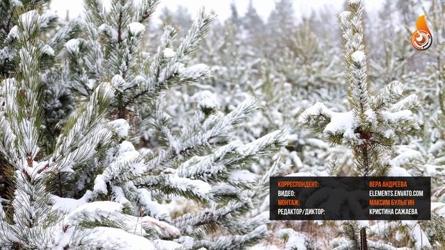 Новости 12 12 2023 смотреть онлайн