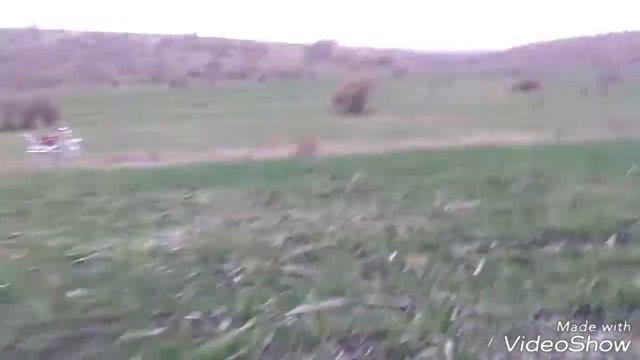 6 ноября состояния озимых