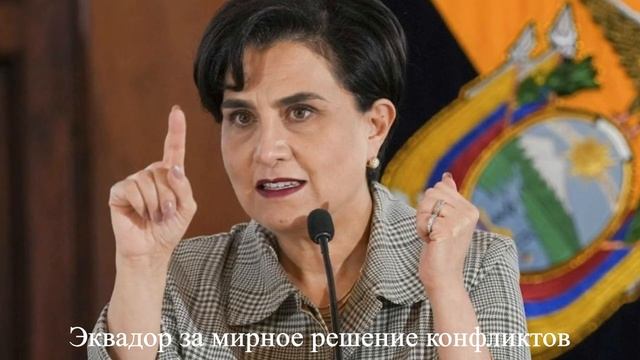 Новости 17 - 23.02.24. В ожидании панда-дипломатии, другая фаза конфликта и защитный кордон смотреть онлайн