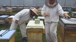 Содержание пчёл в 8-рамочных ульях. Расширение.