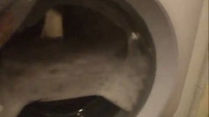 Ariston AQSD129 - Washing Slippers on WOOL wash 40  - - - part I - - -