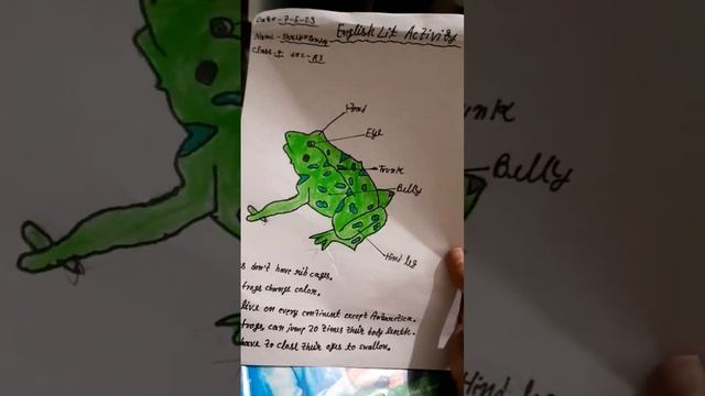 Frog body parts and five lines смотреть онлайн