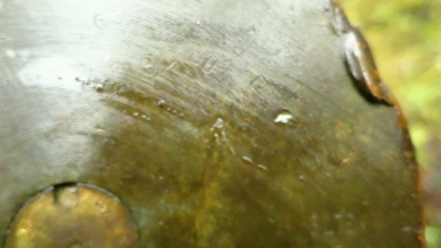 С новым 2025г.Коп в лесу. Александр (реставратор) 267