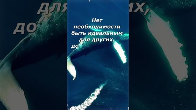 Внутренняя сила