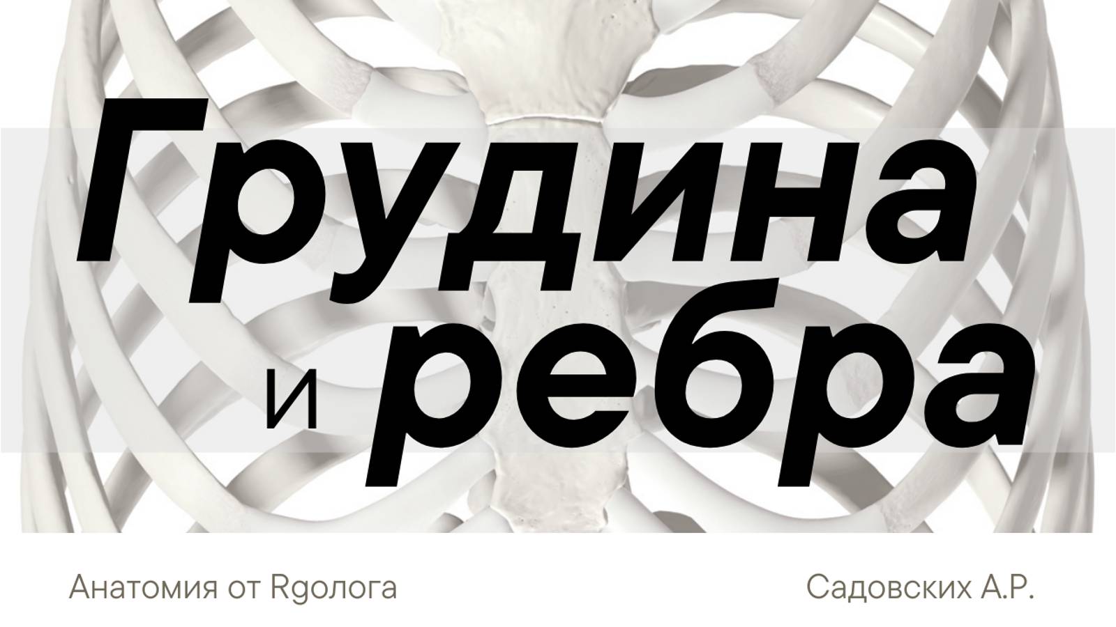 Грудина и ребра смотреть онлайн