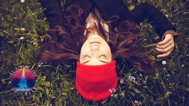 First Aid Kit - Wolf (MATZINGHA Edit) смотреть онлайн