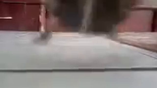 черепашка лео смотреть онлайн