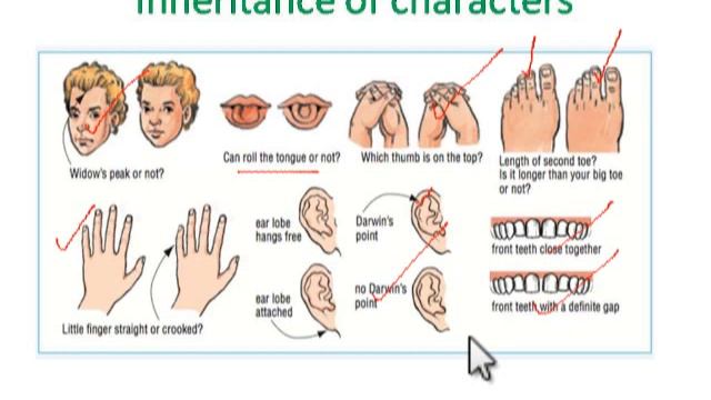 Genome,chromosomes & Genes - difference between them/Genes - role of inheritance смотреть онлайн