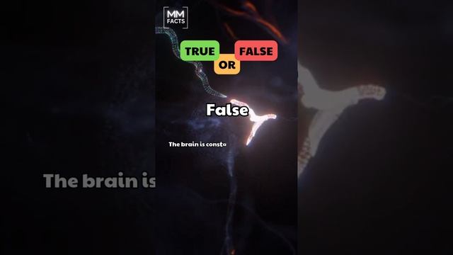 Are our brain cells set at a fixed amount or can we grow more? 🧠 #braincells #growthmindset смотреть онлайн