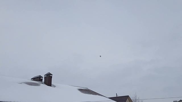 полет голубей (часть 1) смотреть онлайн