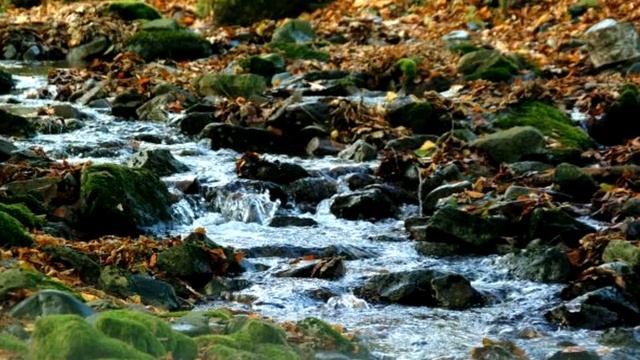 Сияй, сияй, моя звезда, сияй при жизни, а не над могилой