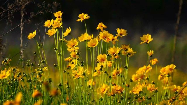 TOP 30 GUITAR MUSIC CLASSICAL 🎸 Best Romantic Guitar Music For Relaxation Of All Time