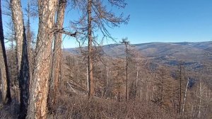 Виды с цирка "Малого Шиглаарика" на перевал Коваленкова