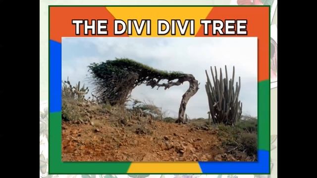 Grade: 4 - English ( Unit # 14: Amazing Trees - Introduction and Vocabulary Focus ) смотреть онлайн