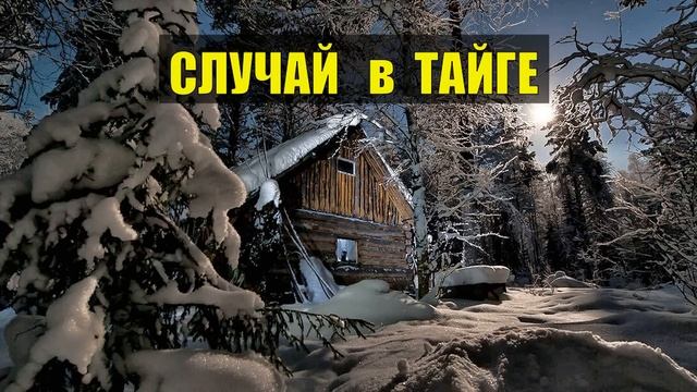 0108 Был в ТАЙГЕ такой СЛУЧАЙ ИСТОРИИ из ЖИЗНИ СУДЬБА ДОМ в ЛЕСУ ОХОТА ЛЕС ДИЧЬ ПТИЦА ЛЕСНЫЕ СЕРИАЛ смотреть онлайн