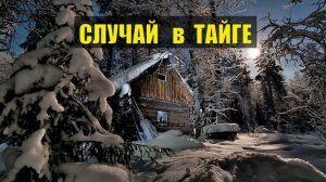 0108 Был в ТАЙГЕ такой СЛУЧАЙ ИСТОРИИ из ЖИЗНИ СУДЬБА ДОМ в ЛЕСУ ОХОТА ЛЕС ДИЧЬ ПТИЦА ЛЕСНЫЕ СЕРИАЛ