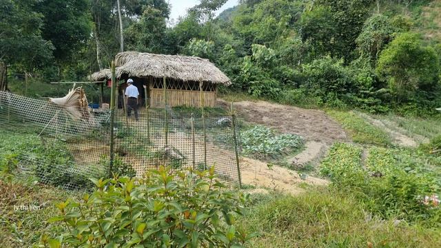 Aunt Lien Bought Ducks To Grow Vegetables, Shy Before The Loving Eyes Of The CEO.