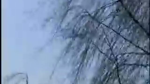 Первый тенор мира. смотреть онлайн