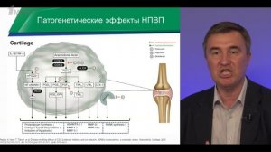 Каратеев А.Е. «Применение целекоксиба при остеоартрите»
