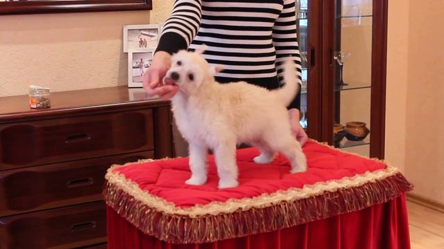 MVI 6288 смотреть онлайн