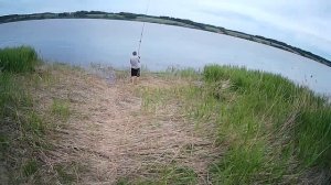 Лето 2024, рыбалка на Оби, на сазана...