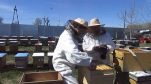 Вы не поверите! Продолжение