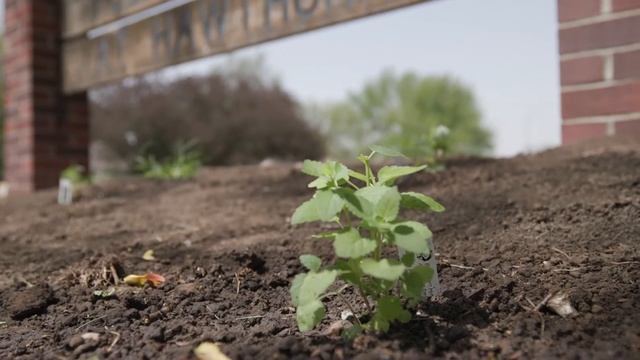 The Garden Project | Bryan Community Focus Program смотреть онлайн