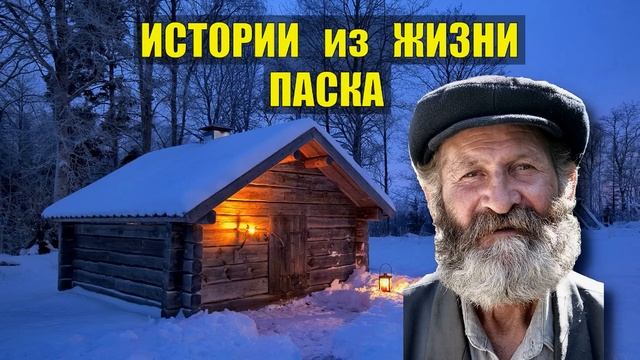 0273 СЛУЧАЙ на ПАСХУ ИСТОРИИ из ЖИЗНИ ЛЕСНИКА ДЕДУШКА ИСТОРИЯ КОРОТКИЕ РАССКАЗЫ ПОДКАСТ ДОМ в ЛЕСУ С смотреть онлайн