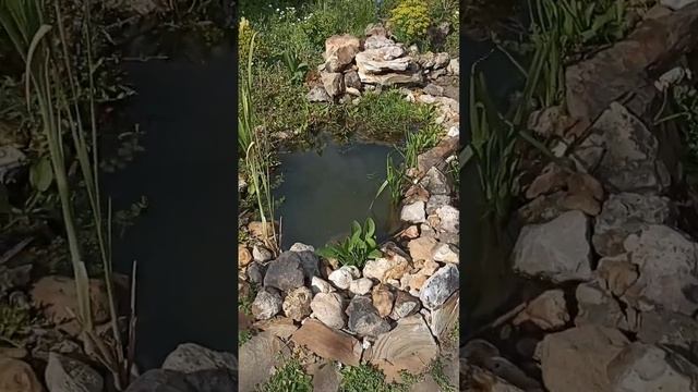 котик привёл подивиться смотреть онлайн