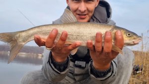 Рыбалка осенью. Ловля краснопёрки(Угай)! Рыбалка в Приморье!