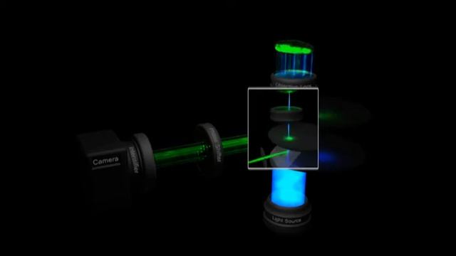 Spinning Disk смотреть онлайн
