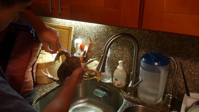 【Fishing Chef】Catch And Cook Dungeness Crab With Sriracha Sauce!