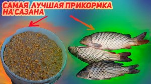 Лучшая прикормка на сазана.
