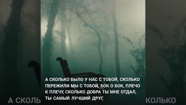 Посвящается Дмитрию Трофимову... смотреть онлайн