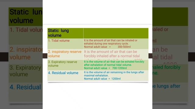 pulmonary function test(PFT) lung volume and lung capacity смотреть онлайн
