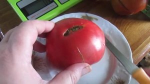 Томат Армянский!