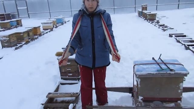 Заносим пчел в зимовник 2017 г. смотреть онлайн