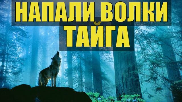 0754 - ЗАБЛУДИЛСЯ В ТАЙГЕ НАПАДЕНИЕ ВОЛКОВ УДИВИТЕЛЬНЫЕ ИСТОРИИ ИЗ ЖИЗНИ КАК ЗАЩИТИТЬСЯ ОТ ВОЛКА НА смотреть онлайн
