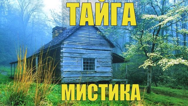 ПРОКЛЯТЫЙ СТАРЫЙ ДОМ в ТАЙГЕ НАХОДКА в ПОДВАЛЕ СТАРОВЕРЫ ПРОМЫСЕЛ СТРАШНЫЕ ИСТОРИИ из ЖИЗНИ в ЛЕСУ смотреть онлайн