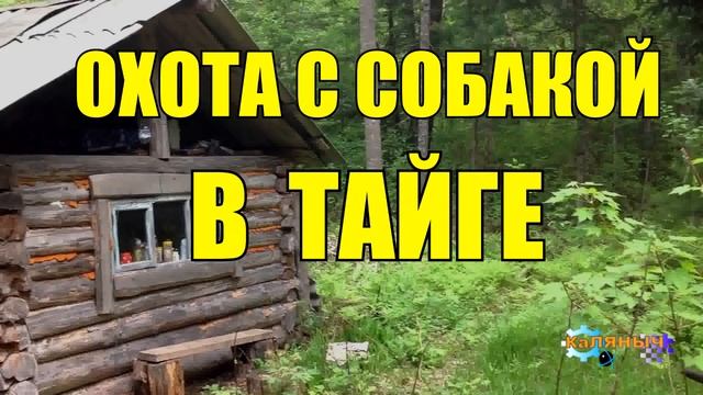 1027 - ТАЙГА ЗЛОДЕЙКА смотреть онлайн