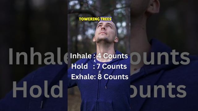 "Immerse in forest therapy! 🌲✨ Breathe and rejuvenate. 🍃 #ForestBreathing #NatureMagic #Mindfulness смотреть онлайн