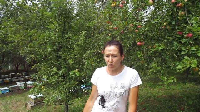 Мы снова с вами! смотреть онлайн