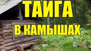 1060 - ОХОТА НА УТКУ В КАМЫШАХ _ В ГЛУХОЙ ТАЙГЕ