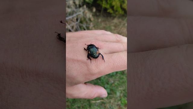 Как он смог выжить под грудой глины. смотреть онлайн