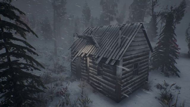 СУРОВАЯ ЗИМНЯЯ БУРЯ. Звуки снежной бури и завывания ветра успокаивают. Видео снегопада для сна смотреть онлайн