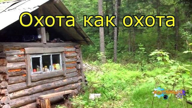 1182 - Охота на косулю _ Испытание морозом смотреть онлайн