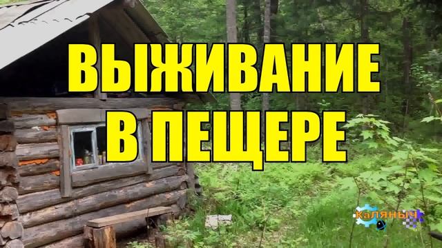 0923 - МЕДВЕДЬ И ЧЕЛОВЕК _ ВЫЖИВАНИЕ В ПЕЩЕРЕ _ ЖИЗНЬ В ТАЙГЕ смотреть онлайн