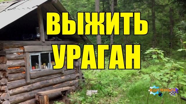 ОДИН В ТАЙГЕ _ УРАГАН И НАВОДНЕНИЕ _ ВЫЖИТЬ ВМЕСТЕ _ ЗАБРОШЕННАЯ ДЕРЕВНЯ смотреть онлайн