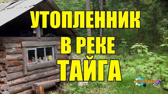 0962 - КАК РАКОВ ЛОВИЛИ _ ТАЙГА смотреть онлайн