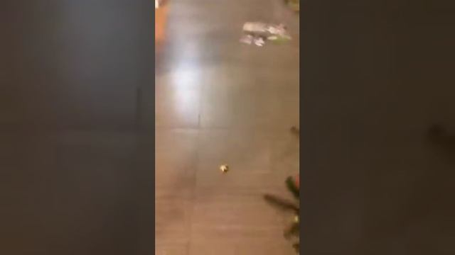 Катрин Рвиза смотреть онлайн